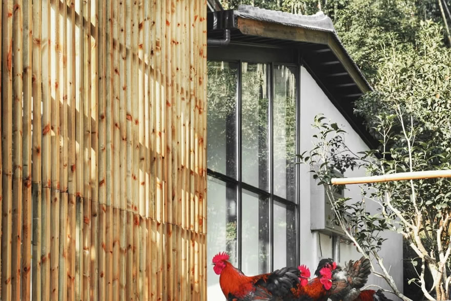 福州前洋农夫集市-38