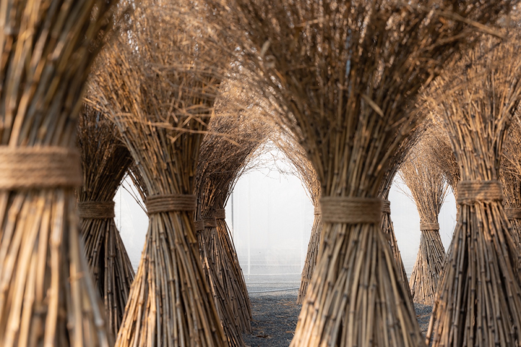 2024成都世园会未来园艺展区“空心竹灯”装置丨中国成都丨TLS景观设计事务所-79