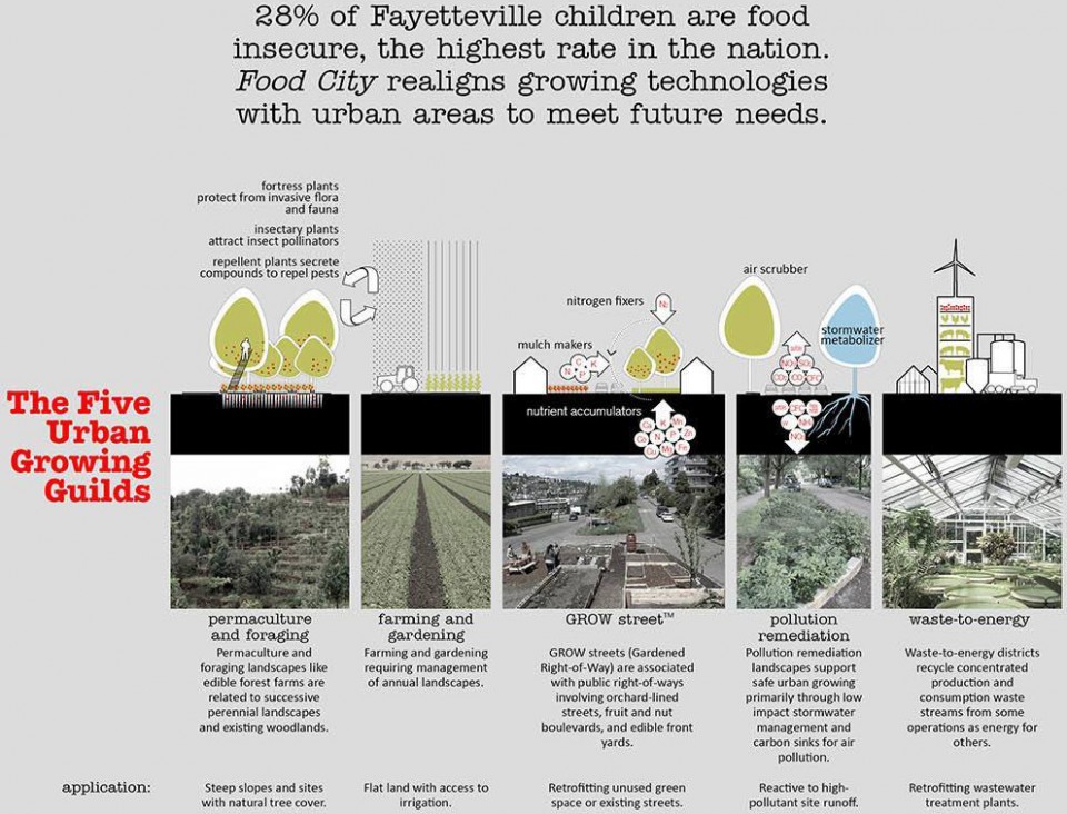 " Food City " | 城市食品生产模型的规划与设计-1