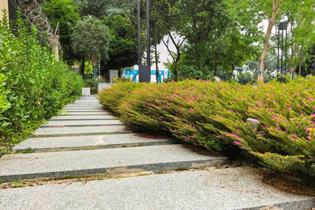 家门口的运动场丨武侯永乐汇游园：从城市夹角到家门口的“山地骑行场”-7