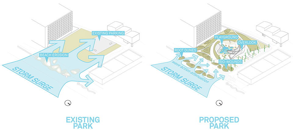 DC Ale·ander公园丨Brooks + Scarpa-8
