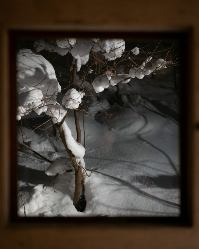 丨日本丨Florian Busch,Sachiko Miyazaki等-43