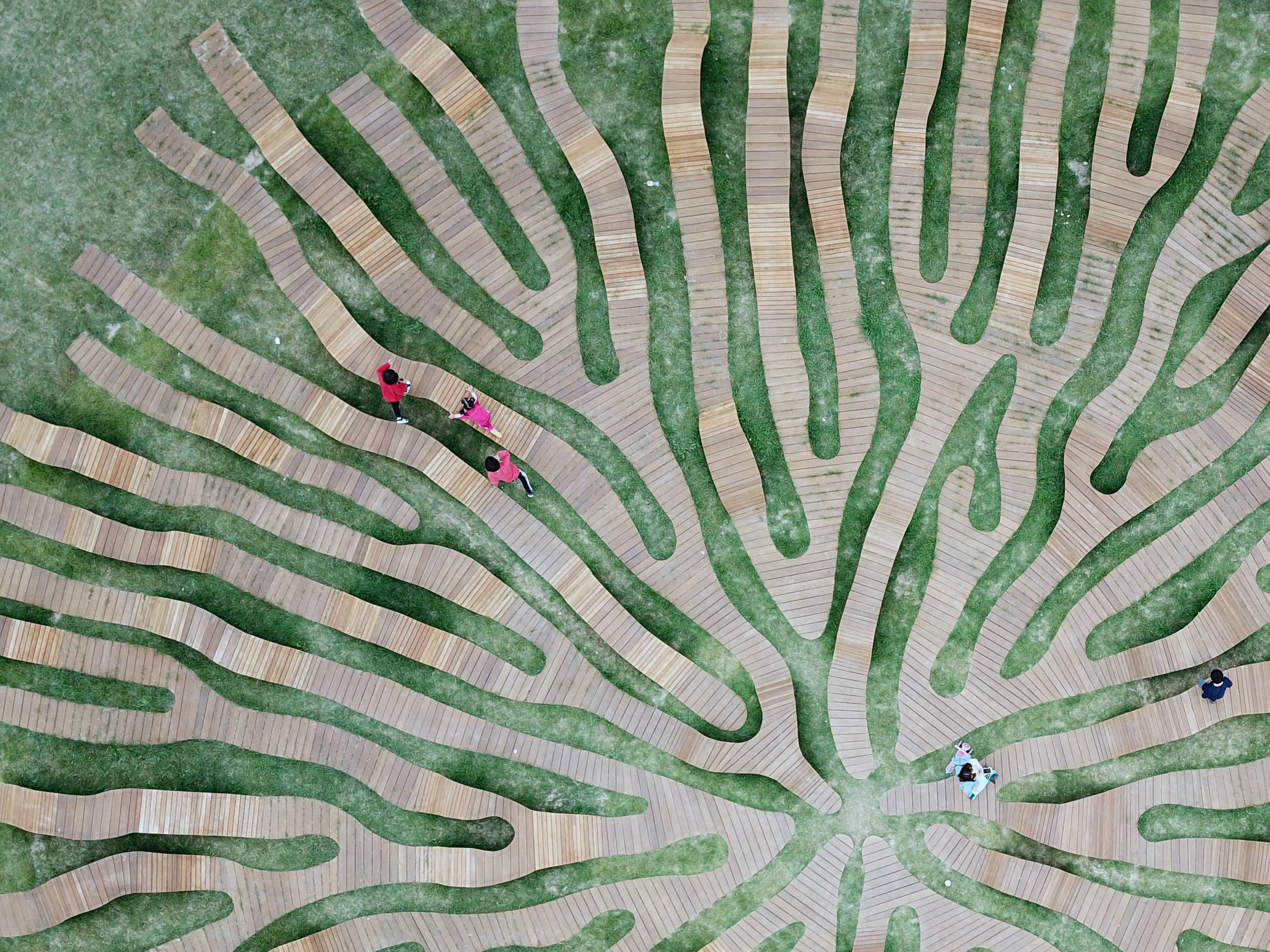 首尔汉江艺术公园“Root Bench”丨韩国首尔丨Yong Ju Lee Architecture-14