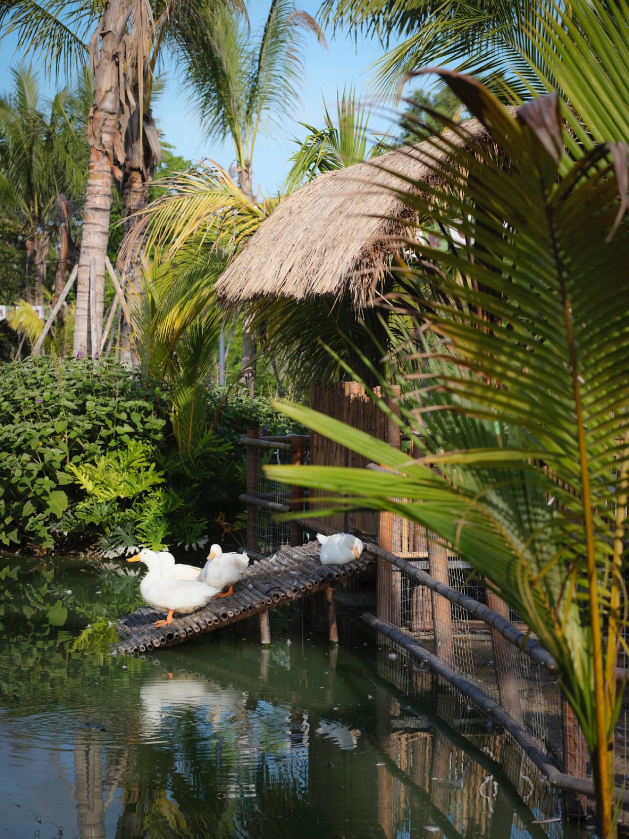 麓湾水集丨中国万宁丨昱道景观-67