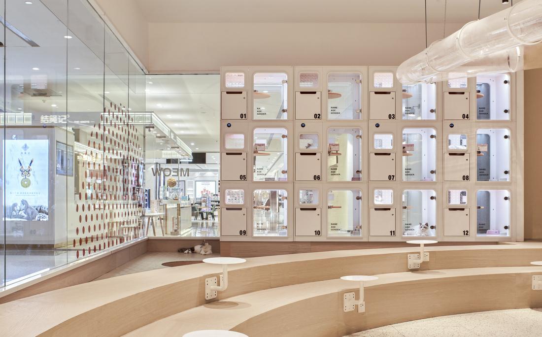 喵星人入侵 · 猫咪共享空间丨中国青岛丨黄士华-14