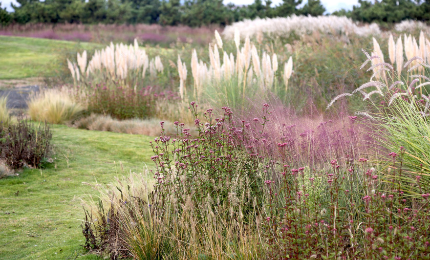多岛海野草公园丨中国日照丨孔祥伟工作室-141