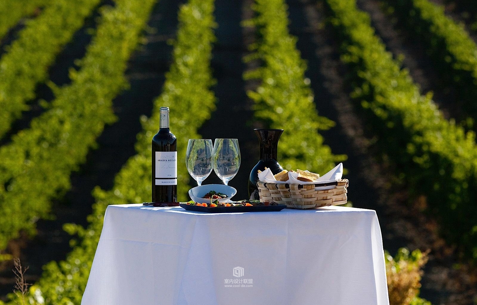 西班牙杜埃罗河谷庄园酒店-12