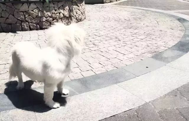 高冷背后的温暖设计-30