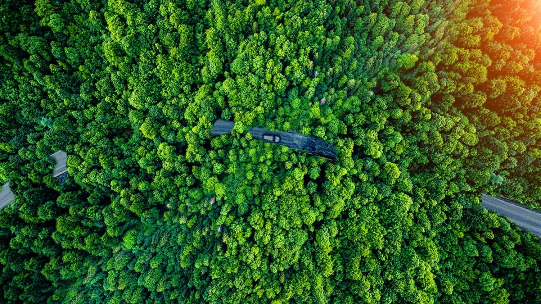 仙居悦柳度假酒店丨中国台州丨悦榕集团-6