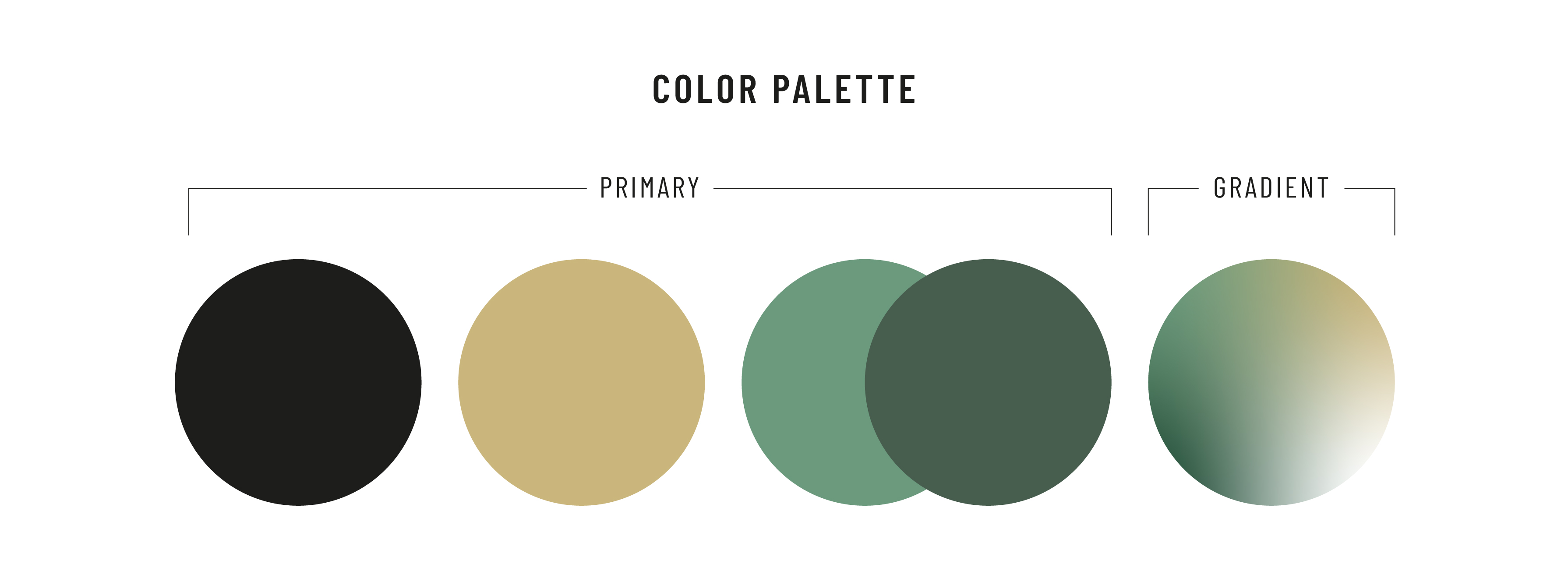 COSMO 品牌发展-8