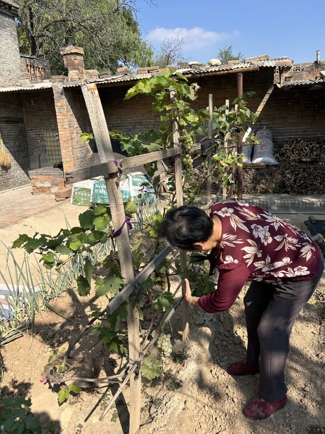 建筑老八校三个月速成的大四课设！六幕故事讲述传统的历史空间，文旅融合反转以种地为生的传统乡村模式，重振霍州窑白瓷文化-41