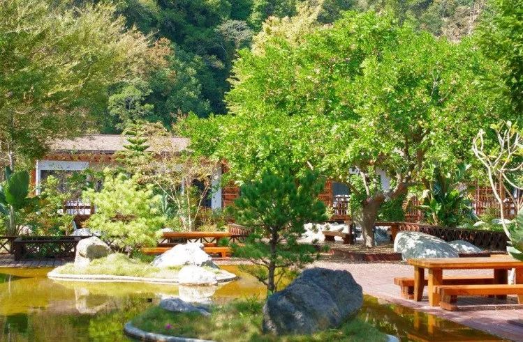 郊区“同居式”养老生活 | 自由、快乐、充实-20