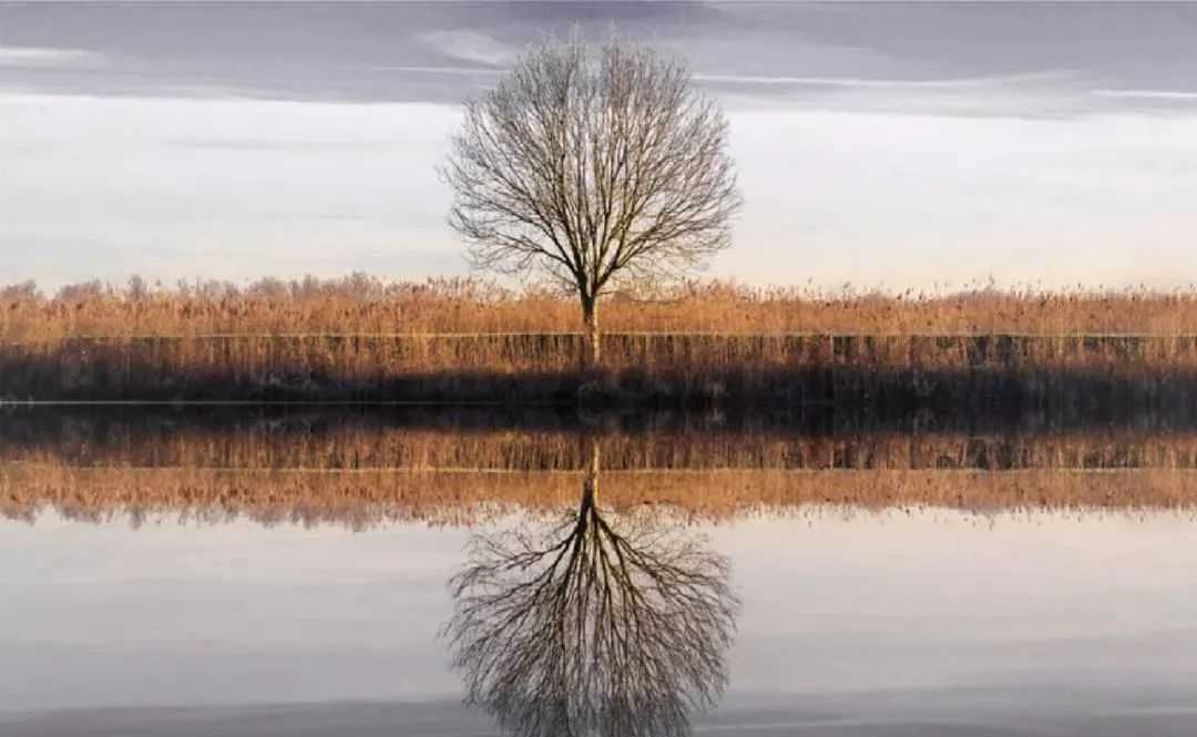 上海天华建筑设计有限公司 · GBD 设计杜文彪 ·售楼处 · GBD 杜文彪专辑-26