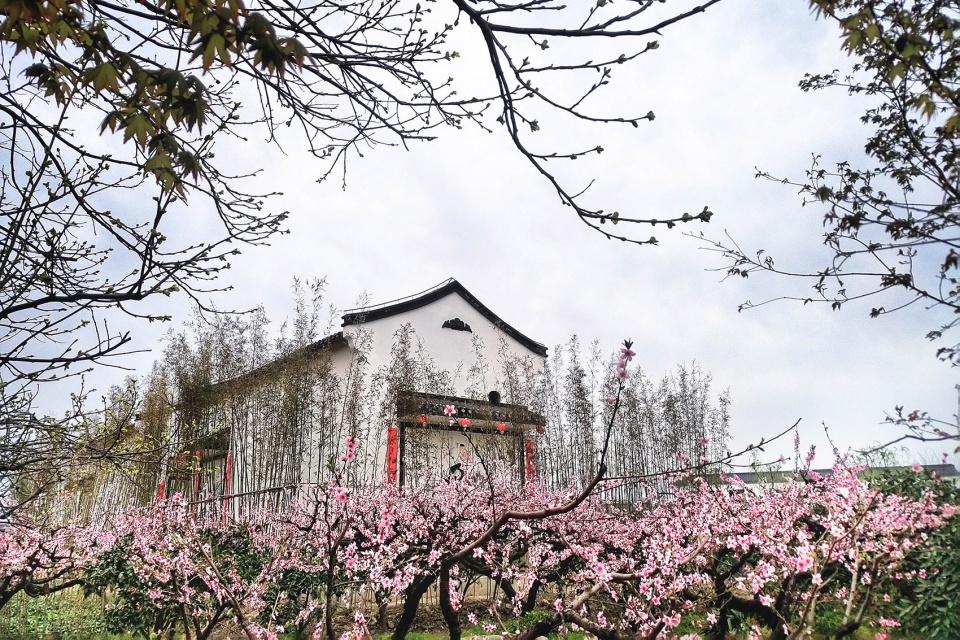 上海“乡村振兴示范村”·吴房村丨中国美术学院风景建筑设计研究总院-65