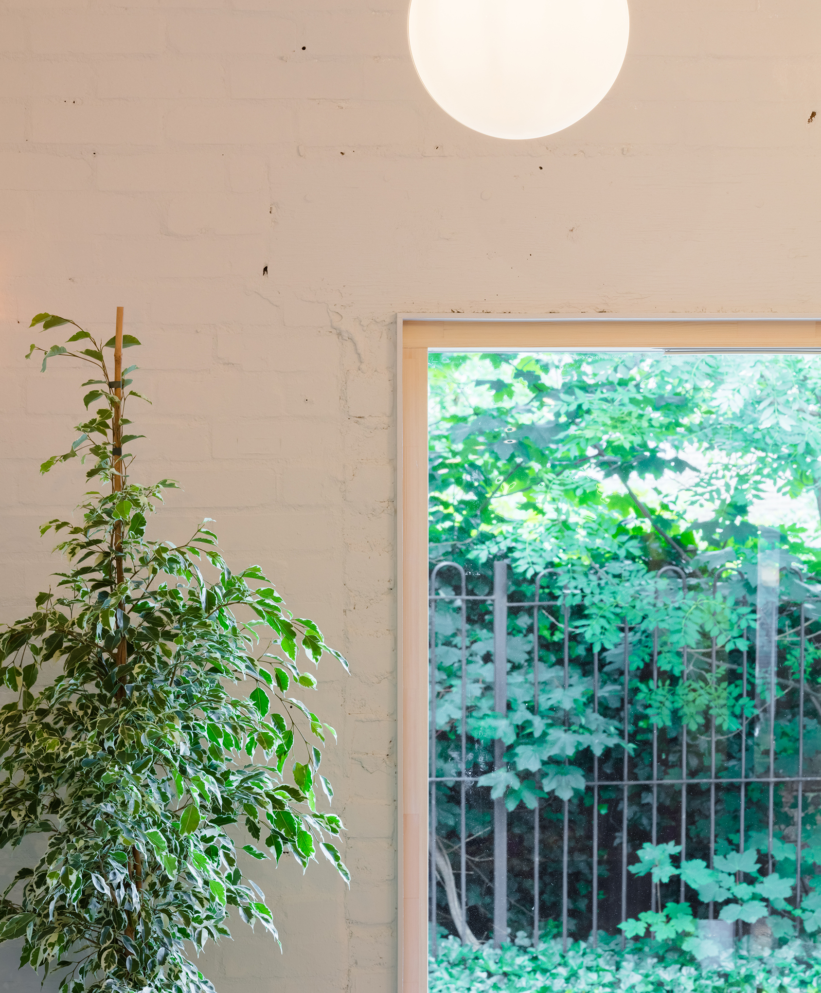 Shelter From The Storm / Holland Harvey Architects-16