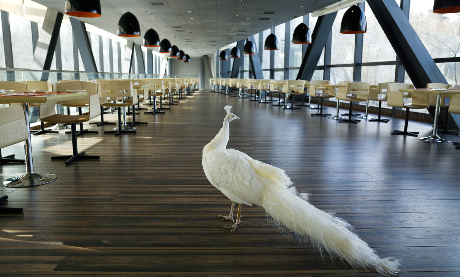 吉林长白山紫玉酒店度假村-1