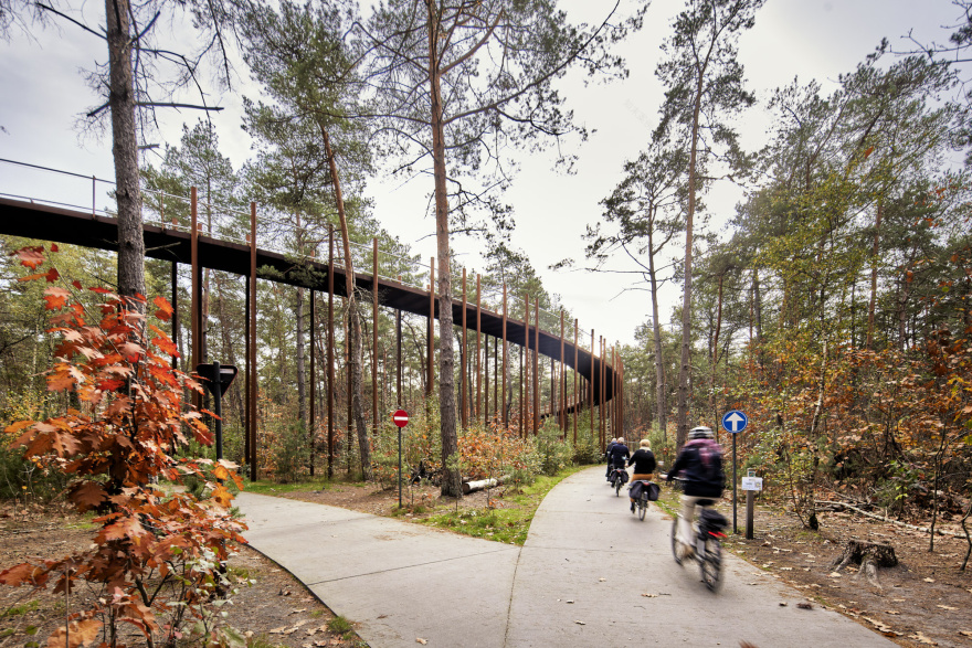 在树林中骑行丨Visit Limburg-3