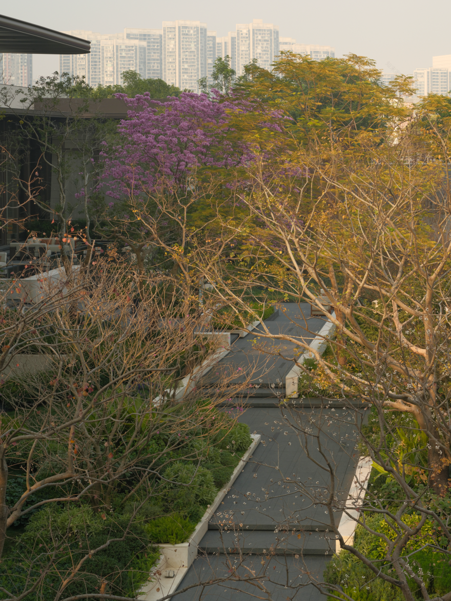 招商·佛山序丨中国佛山丨景观成都麦微景观建筑事务所,建筑华阳建筑,室内明德设计-56