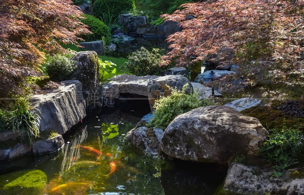 万科公望庭院丨草月流-11