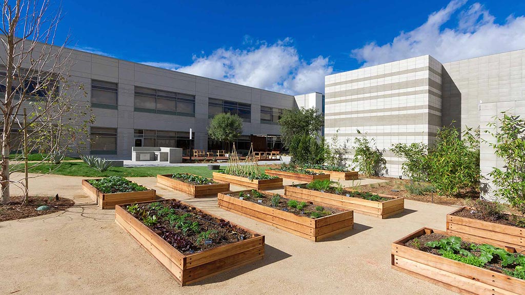 Gensler 打造加州阳光下的舒适办公空间-8