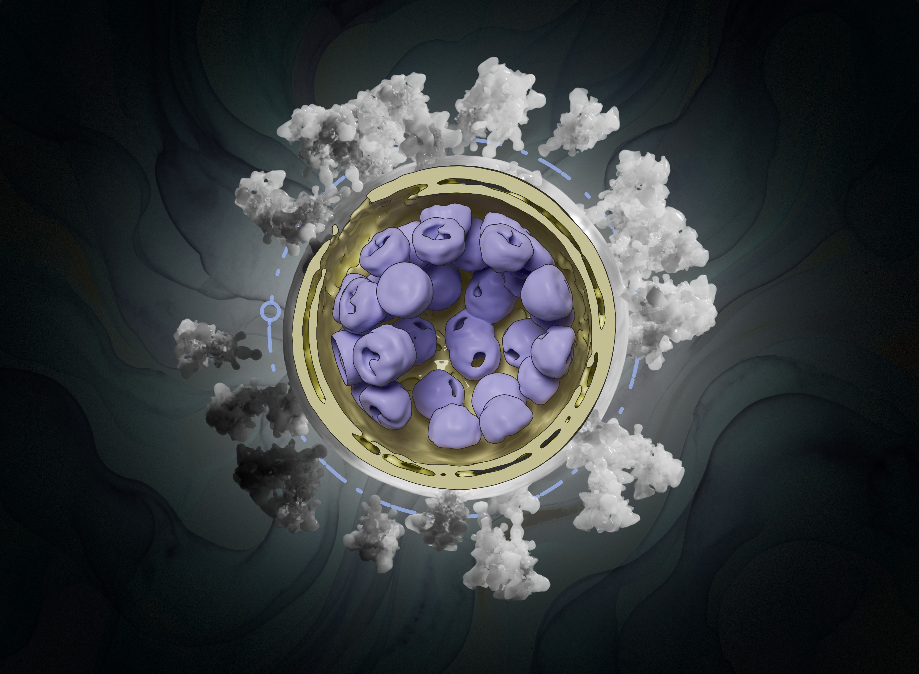 风格化生物学-20