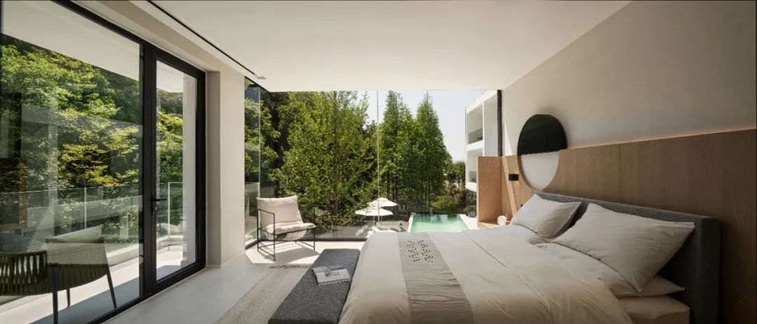 莫干山秘境杉林,尽享自然之美-89