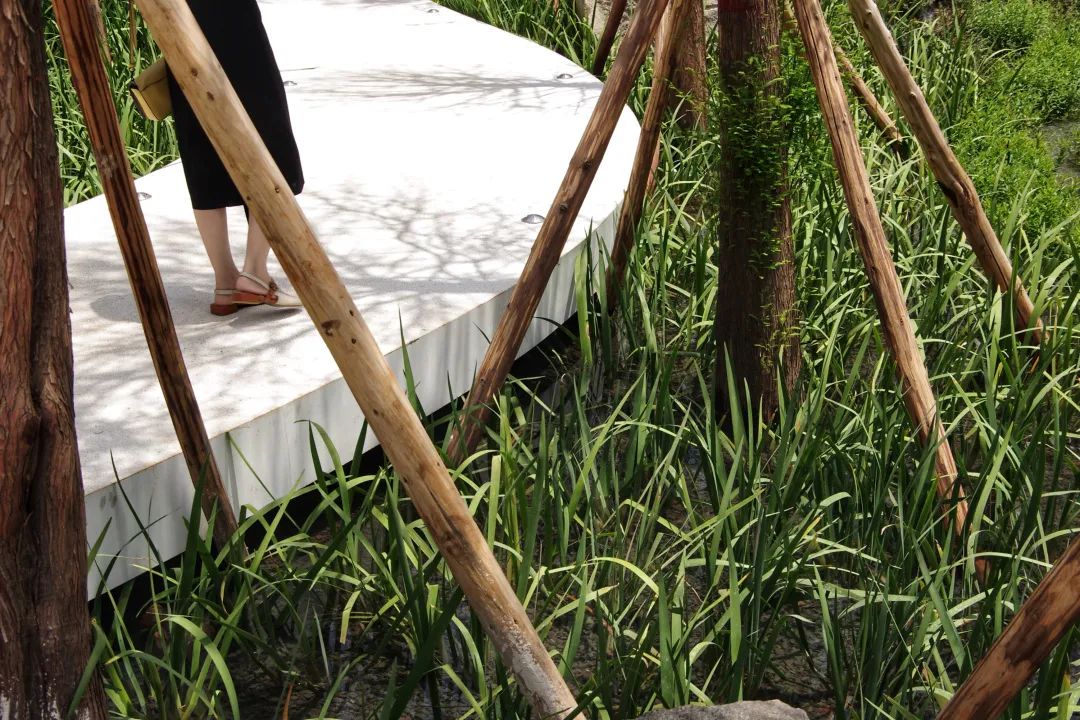 抚仙湖星空小镇 | 生态修复的人与自然和谐共生典范-72