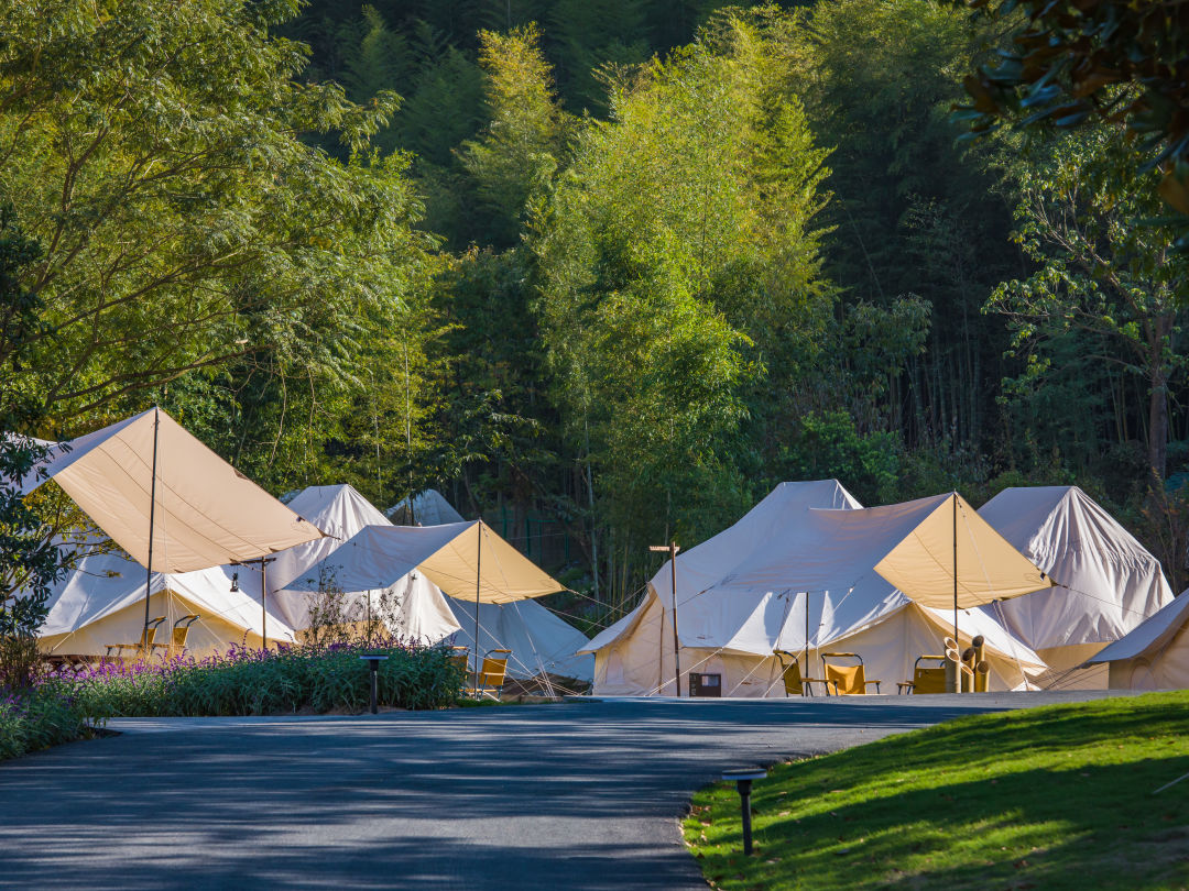 数一轮晨夕 折一朵明媚 | 安吉小杭坑营地-66