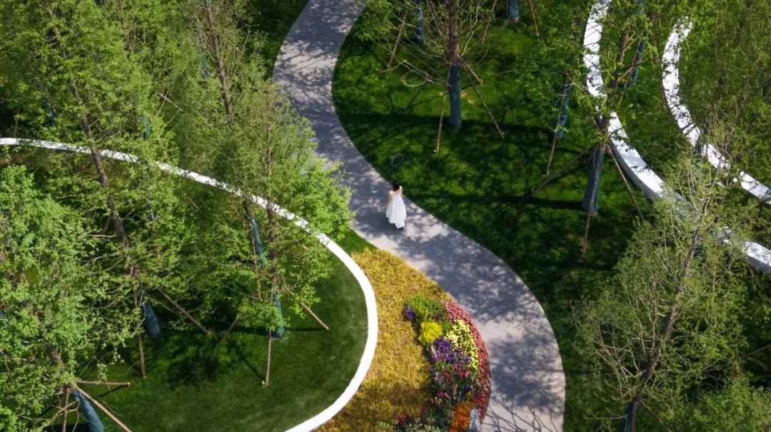 徐州德信·银城·未来之宸示范区景观丨中国徐州丨赛肯思景观-20