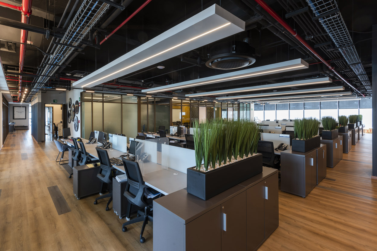 墨西哥城金融公司优雅办公空间-7