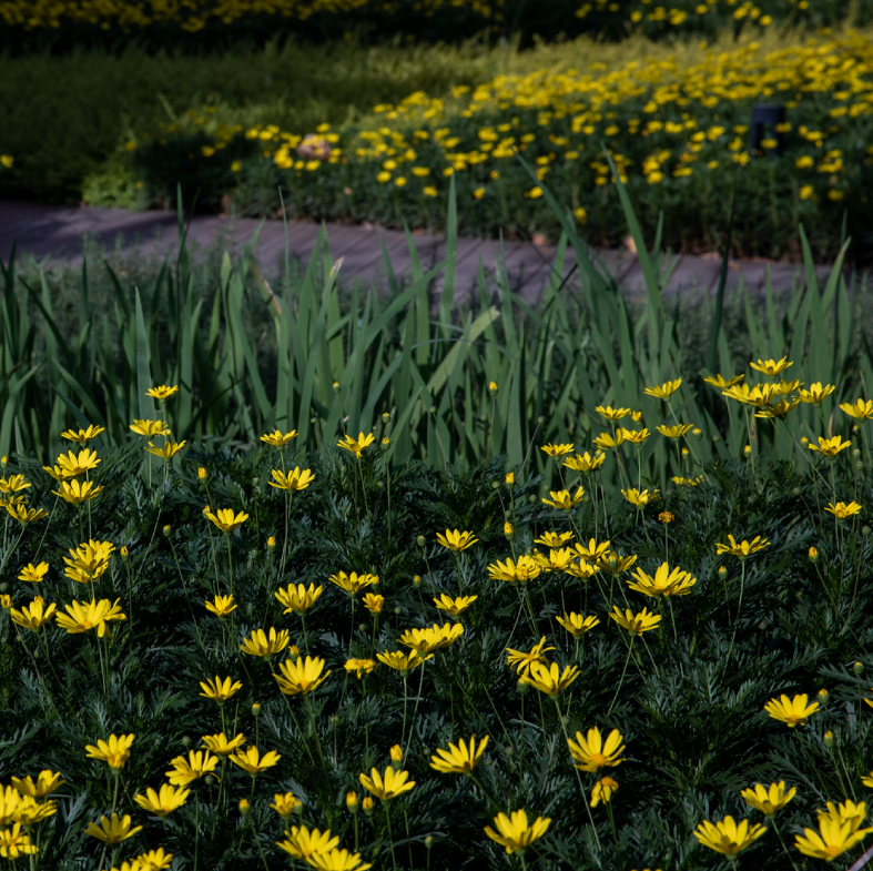 绿色生态虹桥万创中心，打造自然•“家”办公环境-71