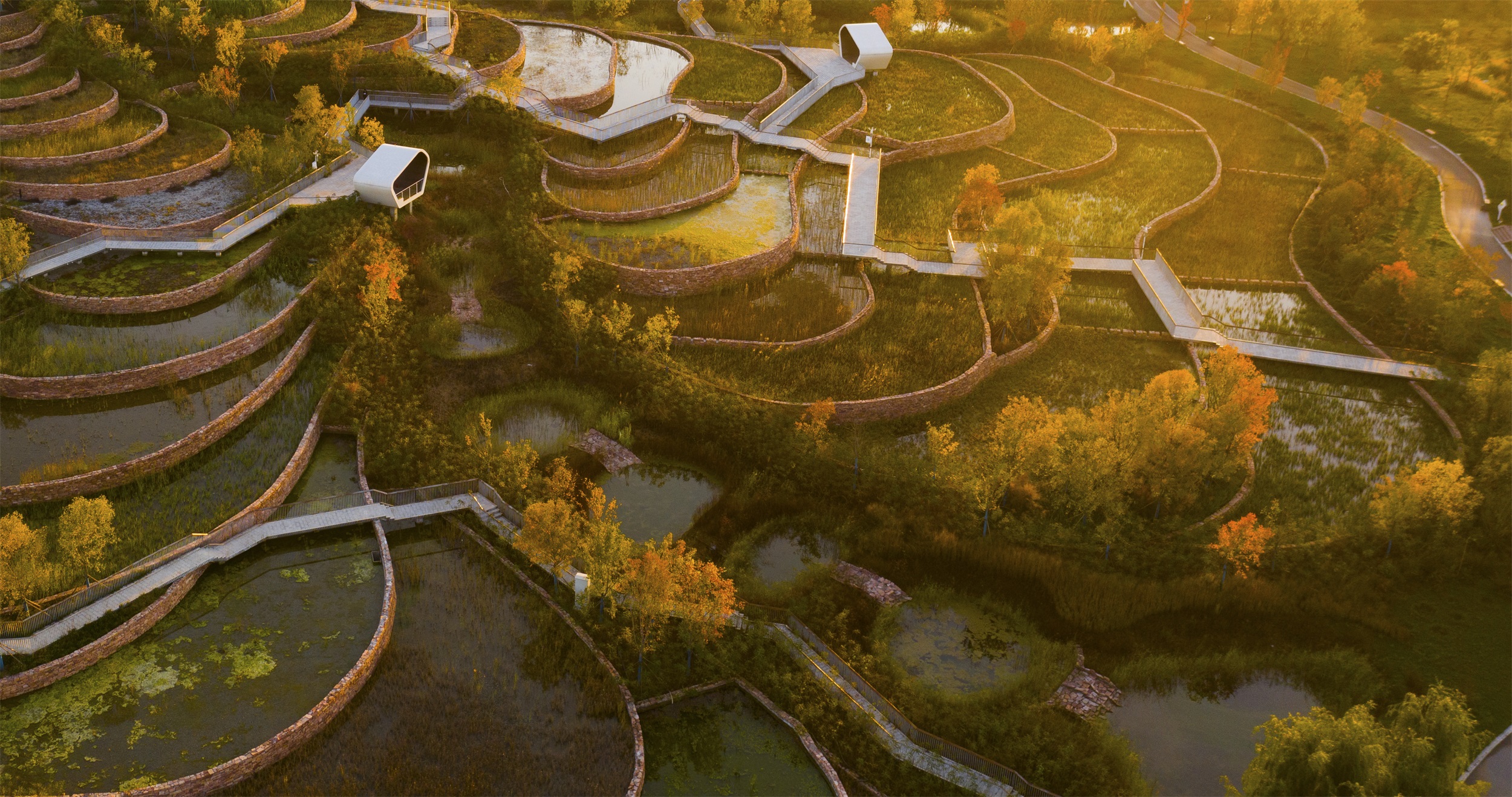 西安雁南公园（二期）丨中国西安丨土人设计（Turenscape）-106