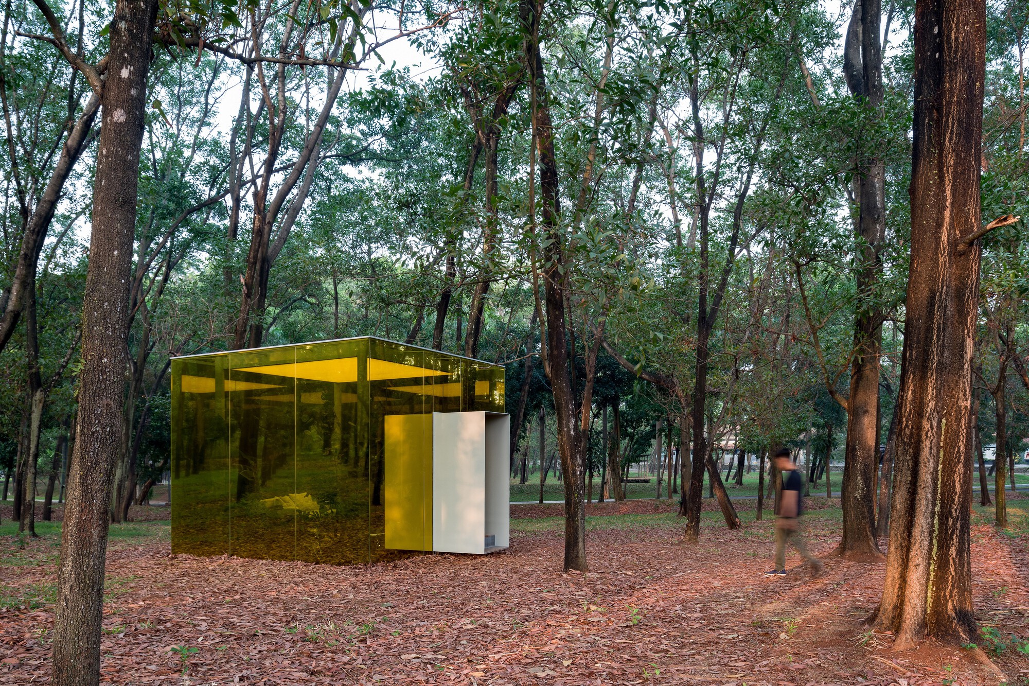 丨印度丨Tamara Wibowo Architects-42