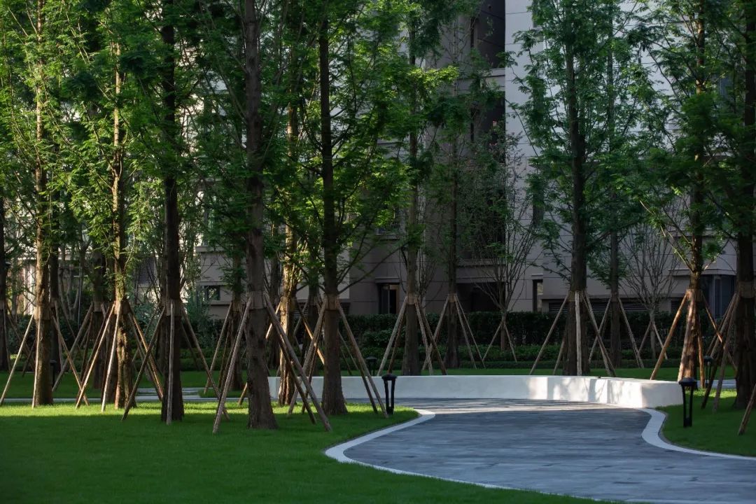 万科 17 英里 | 星空下的乐园生活-50