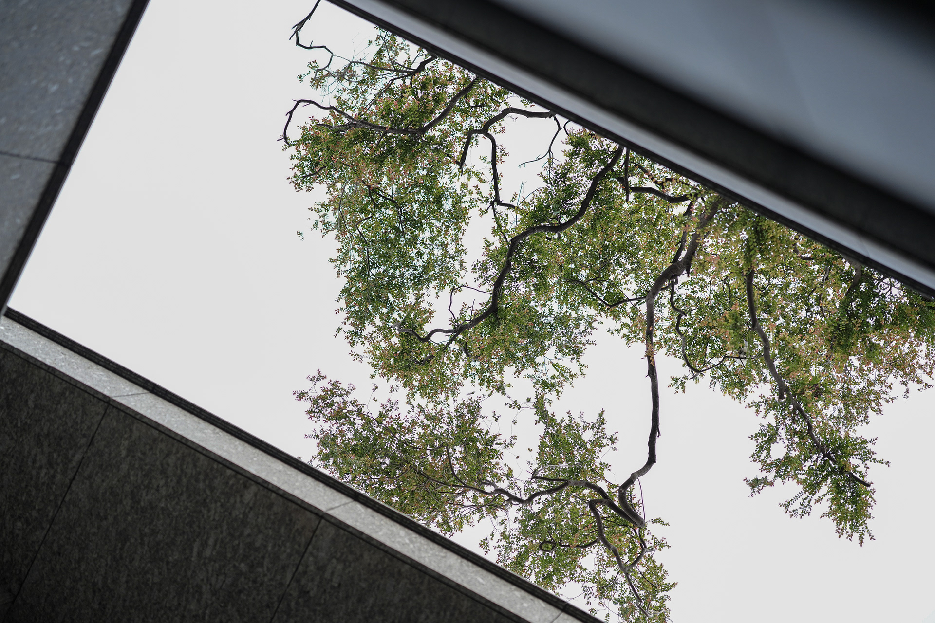 高雄陈宅建筑及室内设计案丨中国高雄丨3L OFFICE™ & NONSTOP DESIGN™-33