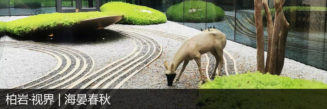 柏岩·视界 | 北京远创中辉——天瑞宸章-30