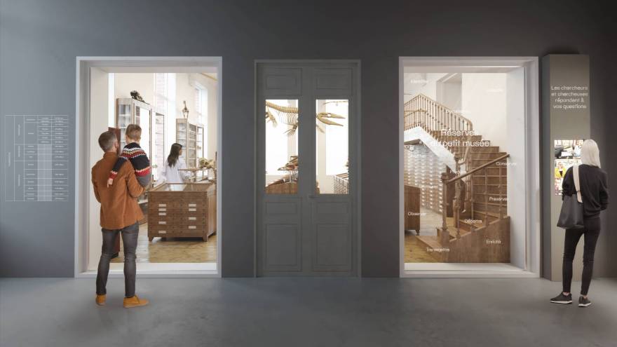 里尔自然历史博物馆改造项目丨法国里尔丨Ateliers 2,3,4,等多家团队-23