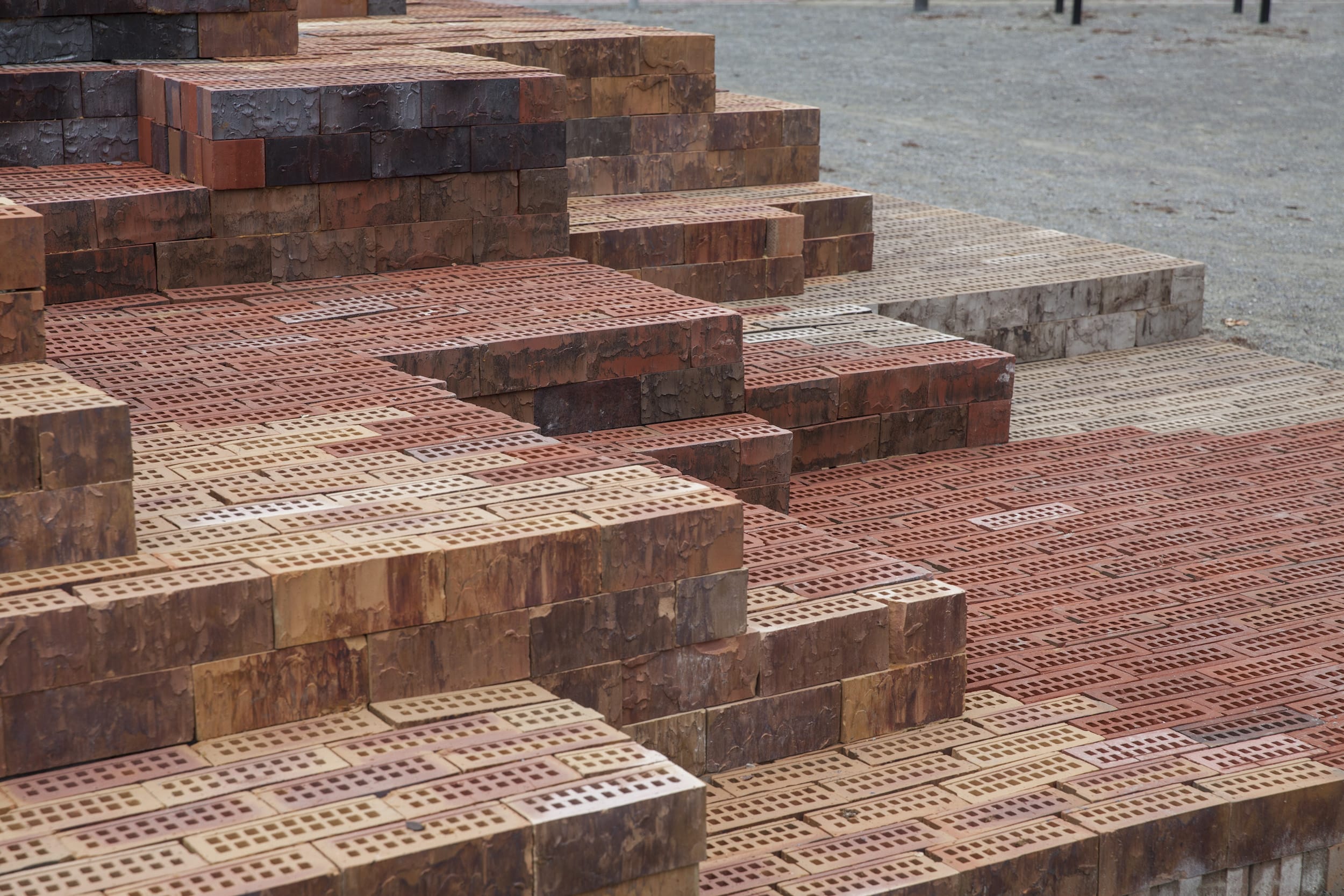 愚蠢;荒唐事;蠢笨的行为-10