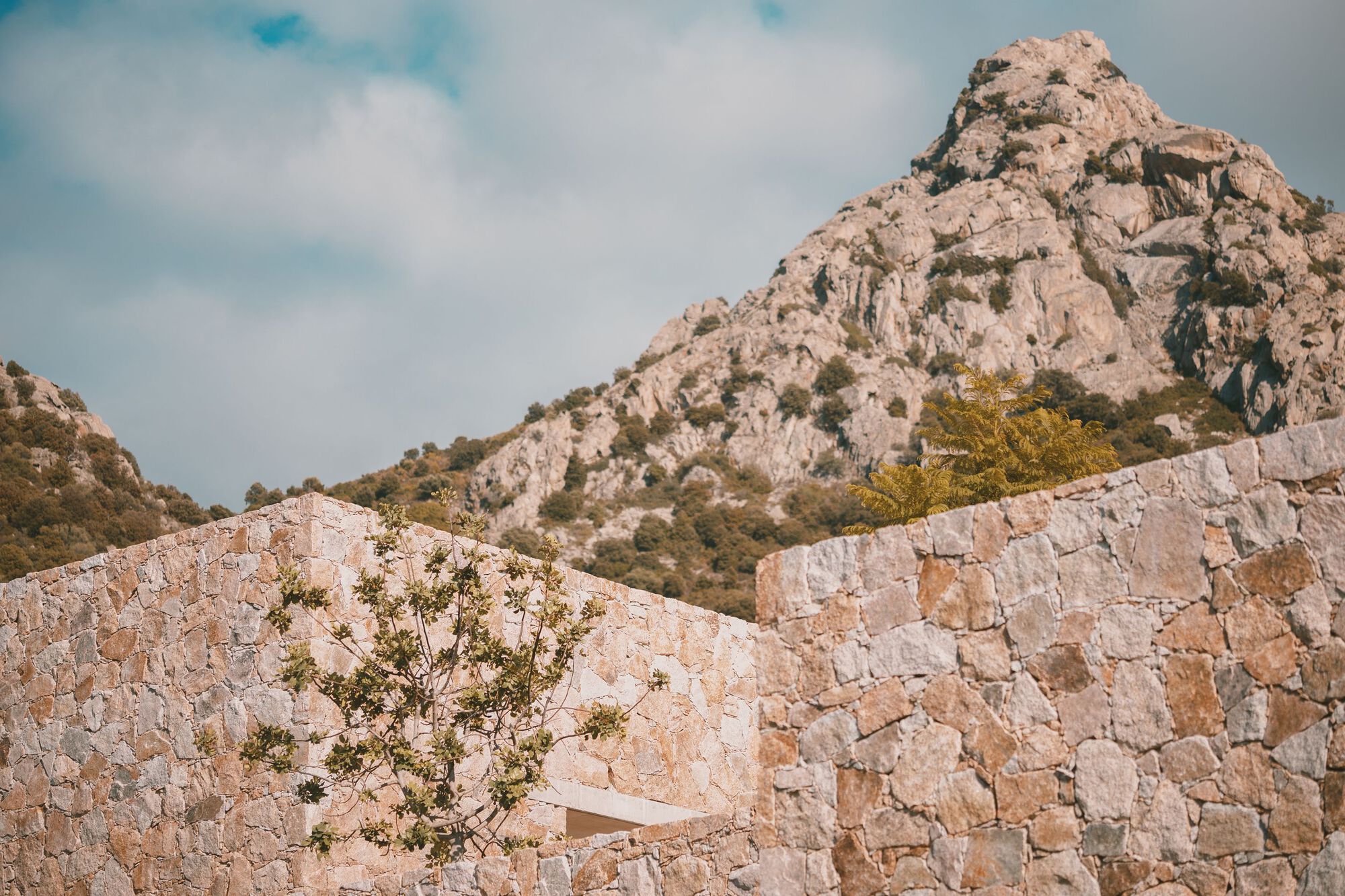 卢米奥学校丨法国丨Amelia Tavella Architectes-56