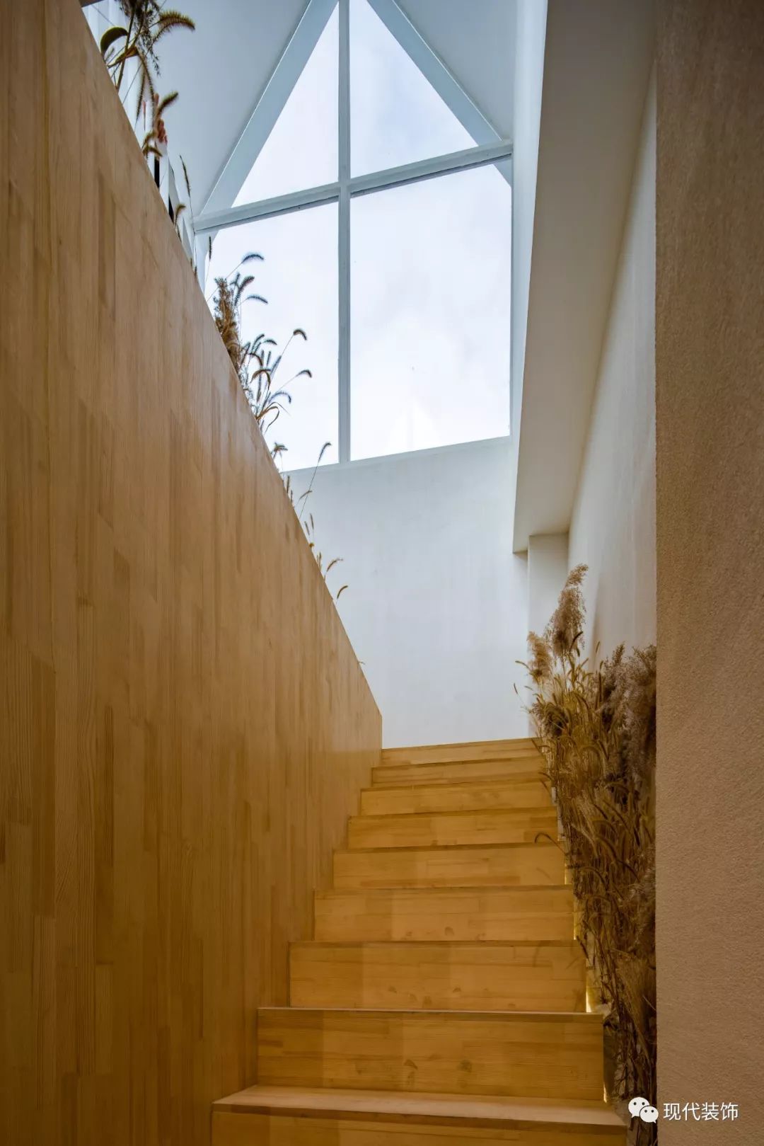 绿意盎然的小山丘舍 | T·PProducts 体验店-25