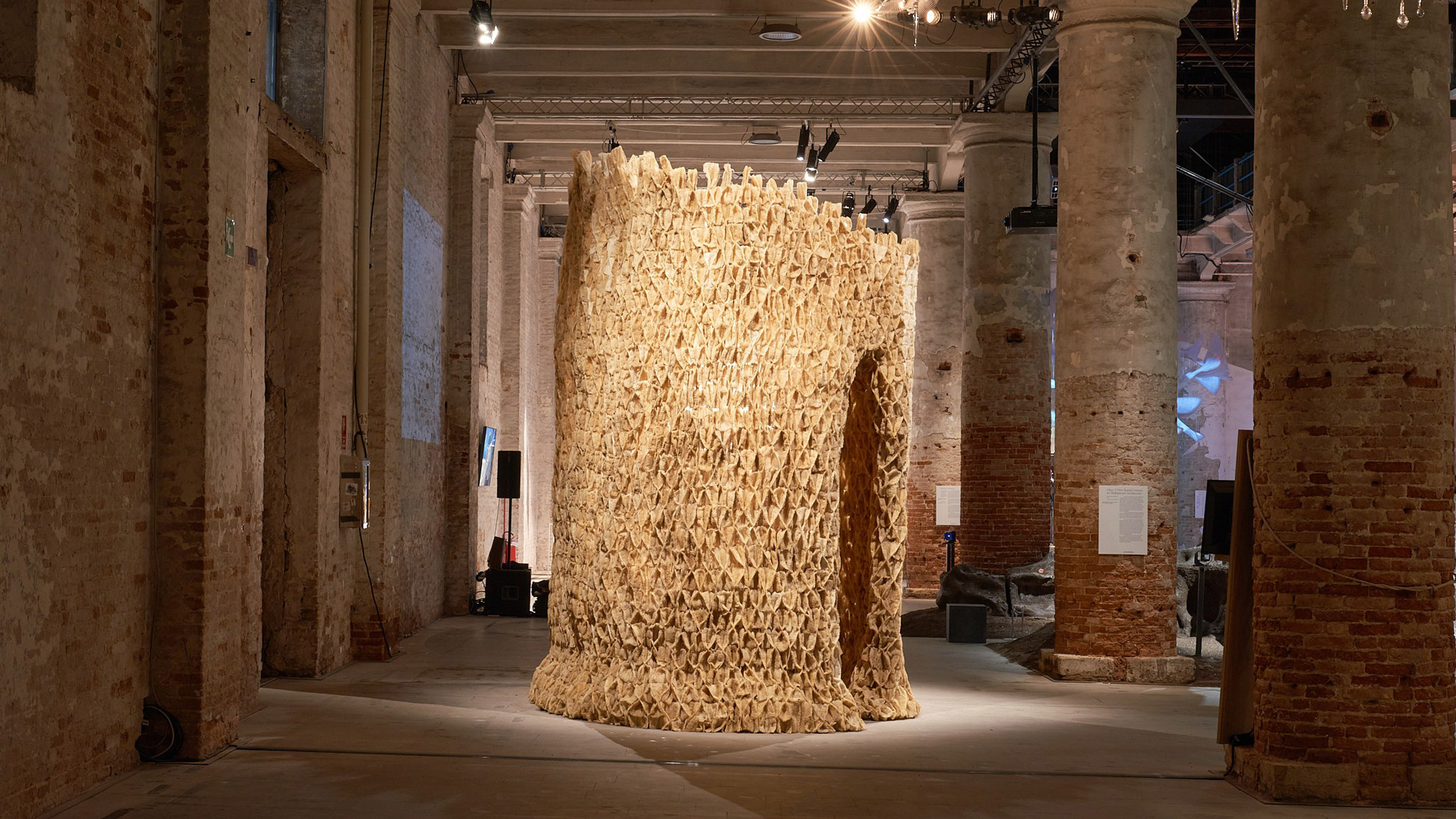 活力共生 | 生物材料塑造未来城市空间-0