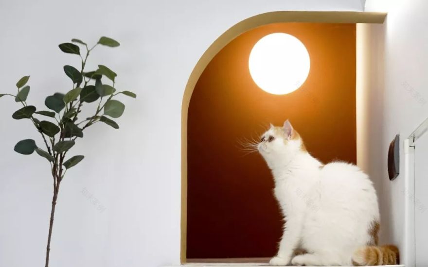 22㎡蜗居的色彩重生-58