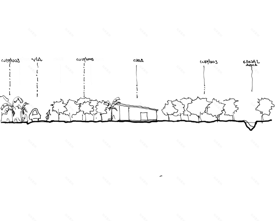 柠檬园屋丨厄瓜多尔丨Termopolio Arquitectura-20