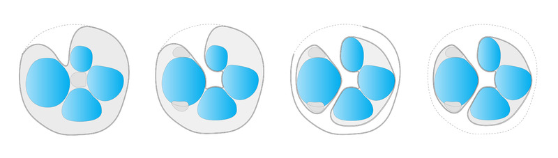 蒙特利尔生物馆改造项目丨加拿大蒙特利尔丨KANVA,与NEUF architect(e)s等合作-150