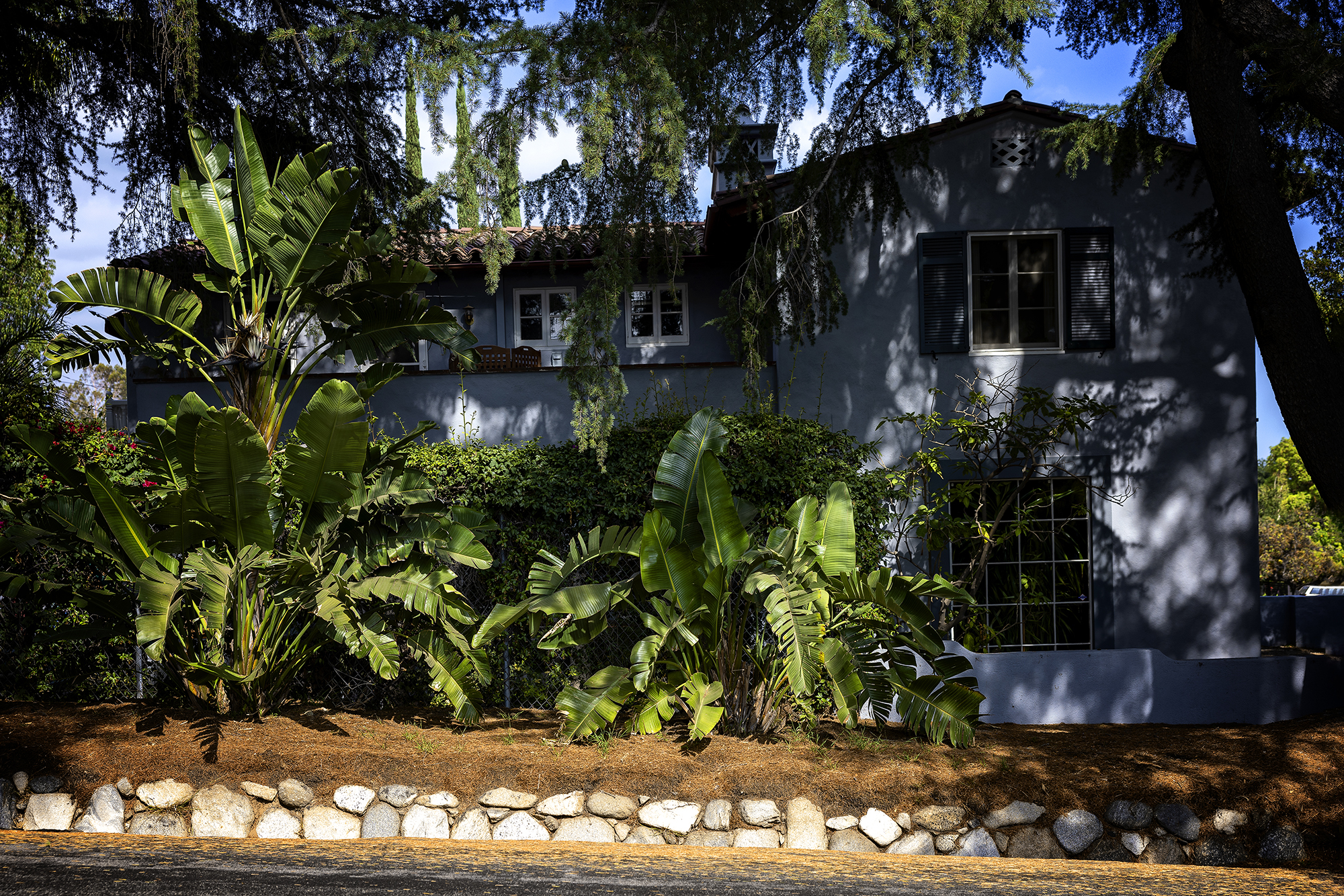 Trees and the Homes They Shade: 4-8