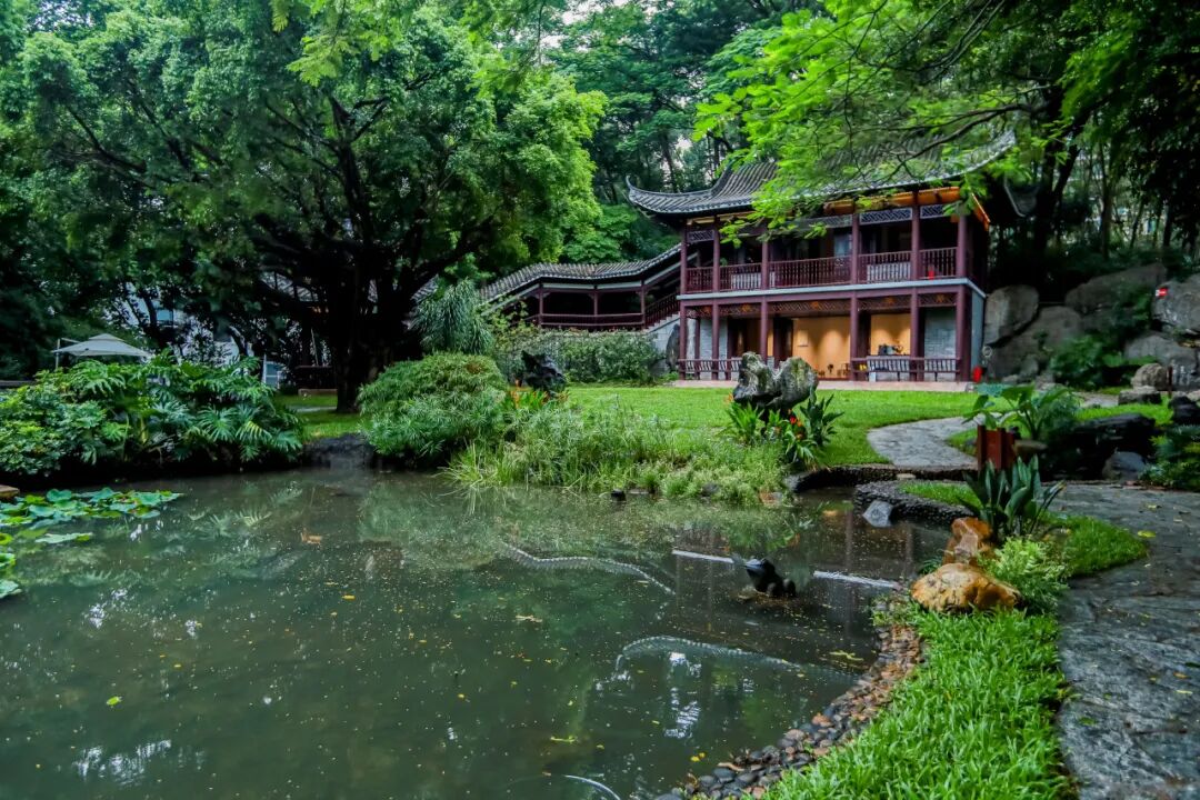 深圳园博园：用公园打开城市生活新方式-35