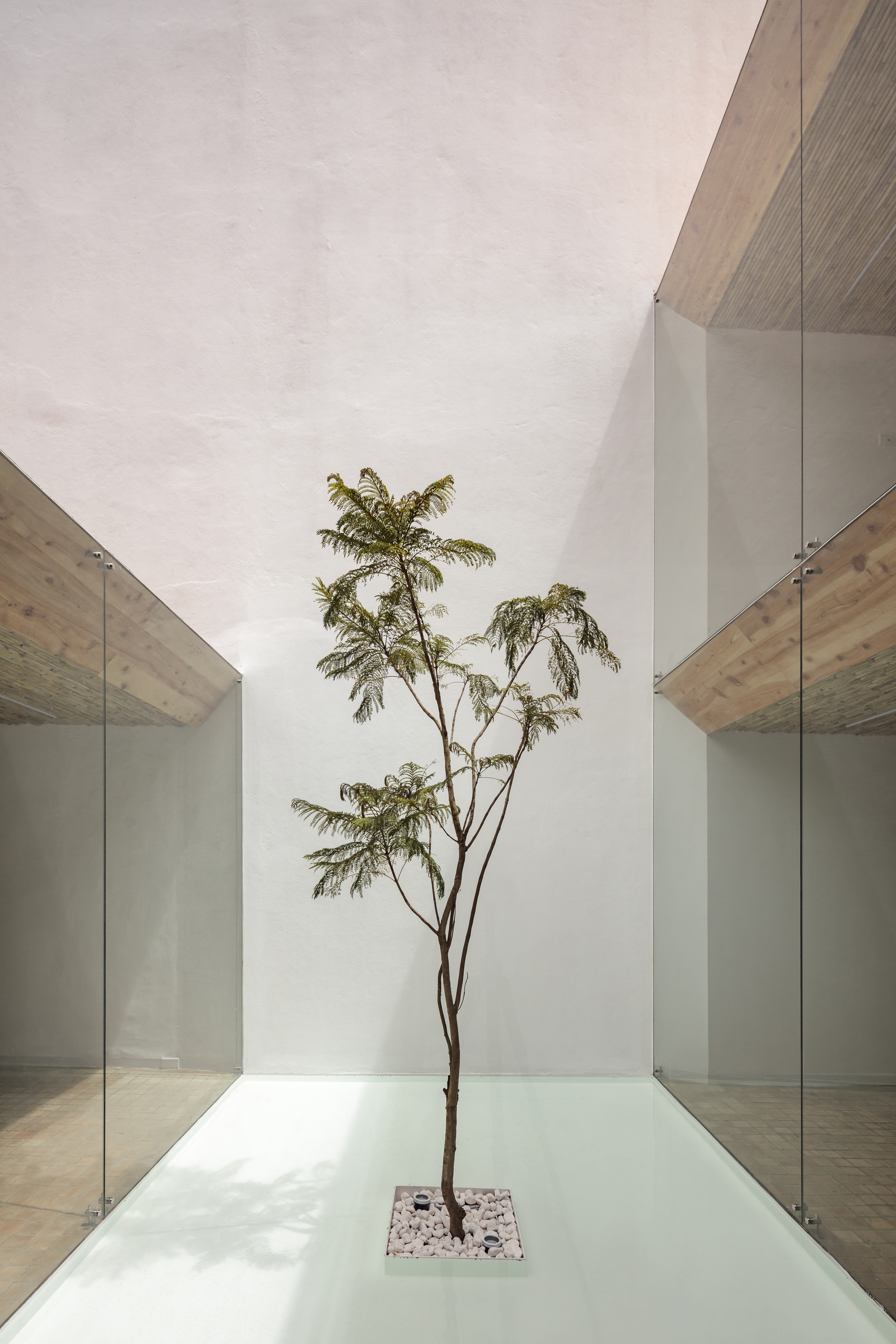 市区餐馆丨厄瓜多尔丨IVÁN QUIZHPE ARQUITECTOS-15