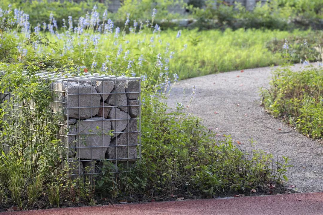上海杨浦滨江电站辅机厂东厂“共生构架”空间-34