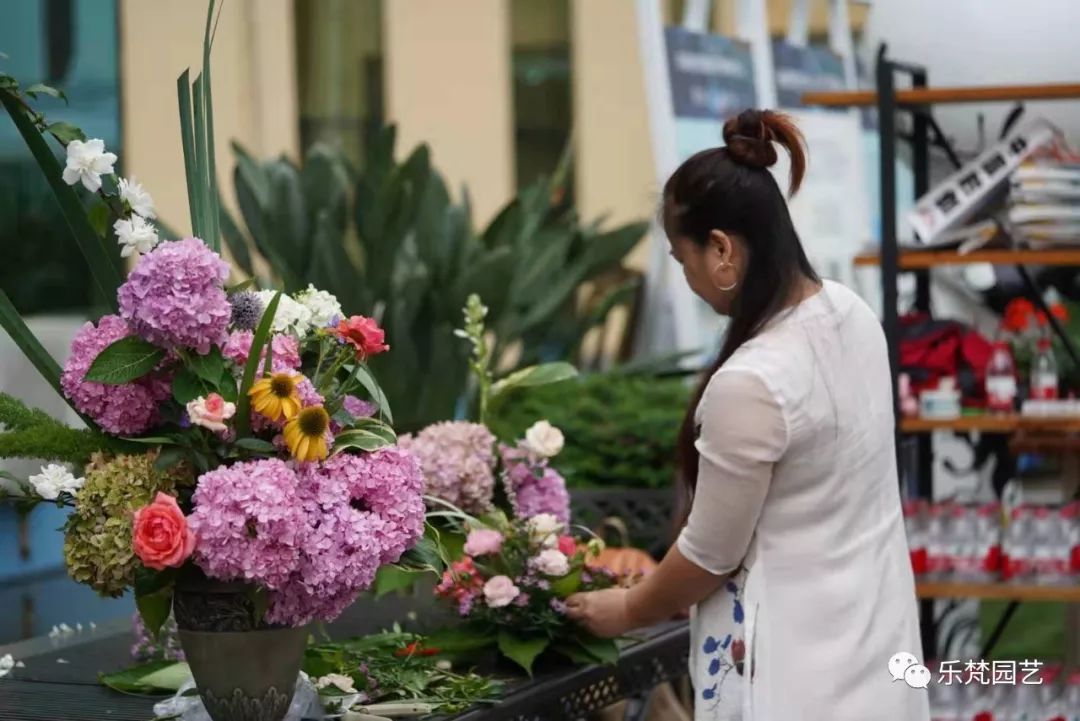 乐梵园艺打造成都花木博览会快闪花园，惊艳全场-111