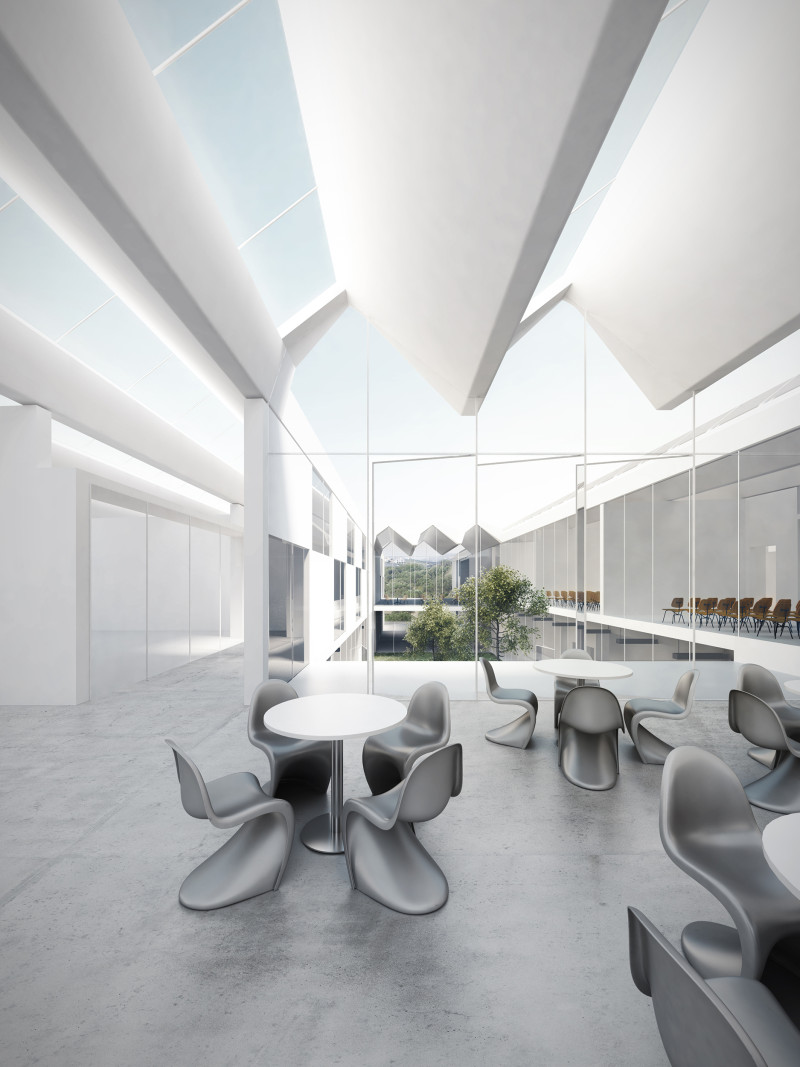 生物气候学派——伊斯顿·康姆斯-3